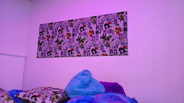 noidysis webcam