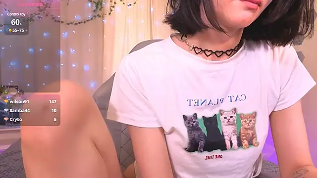 Meowfin webcam