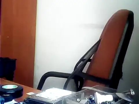 zormen355 webcam