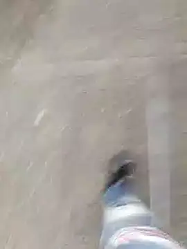 BBC-XXL webcam