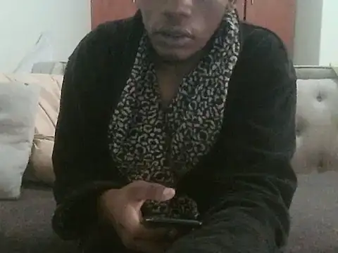 RazSAM webcam
