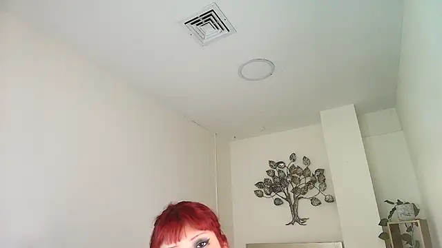 Nitzahills webcam