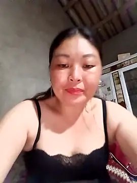 sbe54 webcam