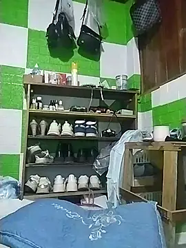 tdtd98 webcam