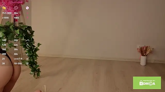 tipsyha webcam