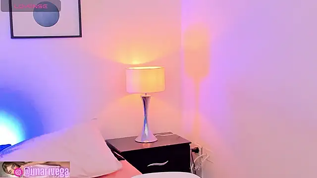 ariivega webcam