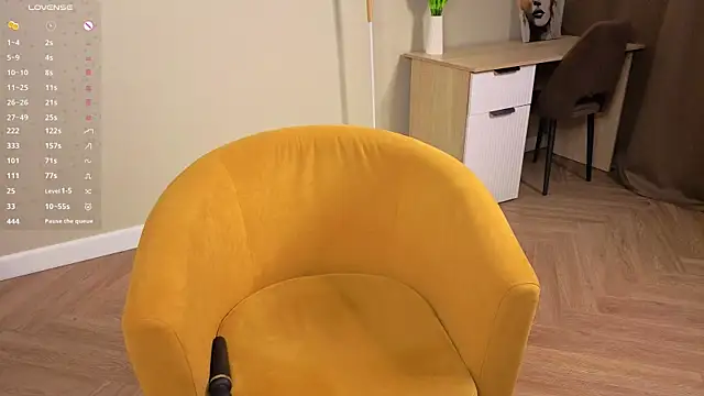 SilverBeste webcam