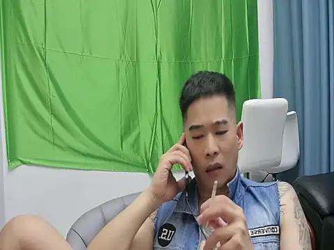 saigege webcam