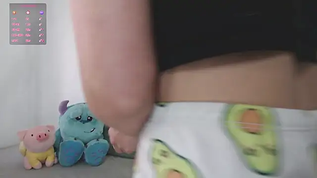it_l webcam