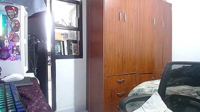 esjrobles webcam