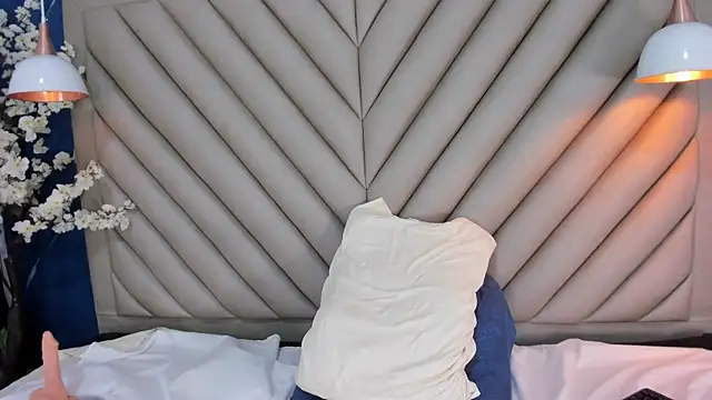 Ibbie_drastic webcam