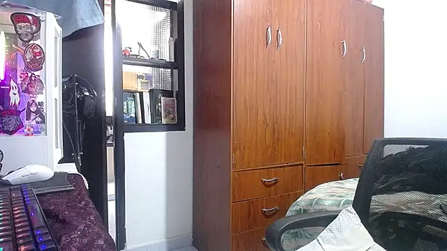 esjrobles webcam