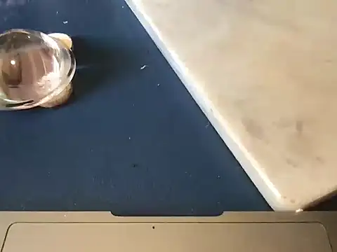 Blazedsurfer30