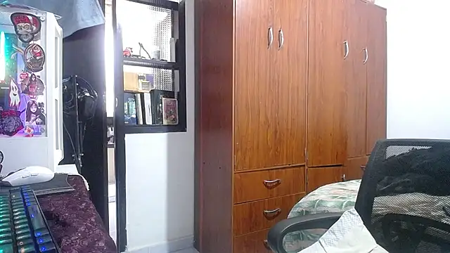 esjrobles webcam
