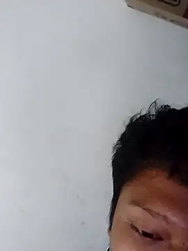 Stwbohay webcam