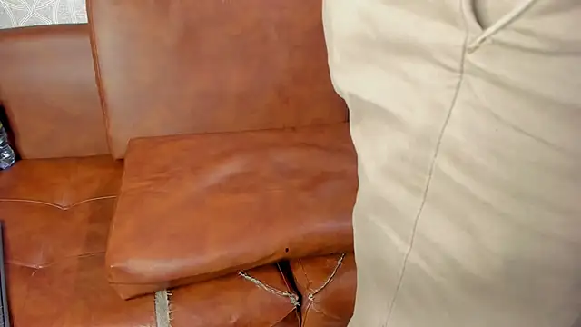 Lucii_fer_ webcam