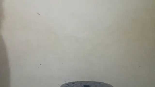 royblackbigpvt webcam