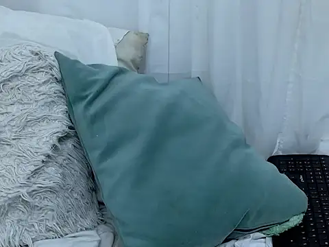 ninaa_fox webcam
