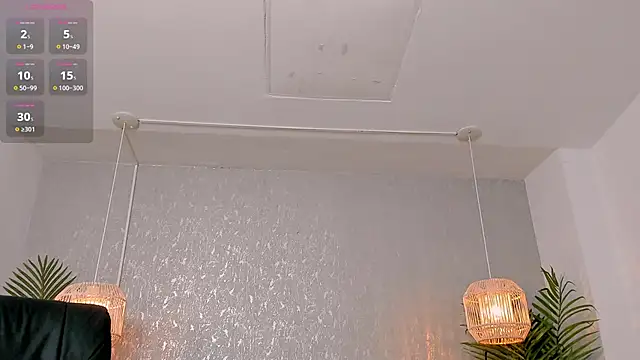 niklas_braun webcam