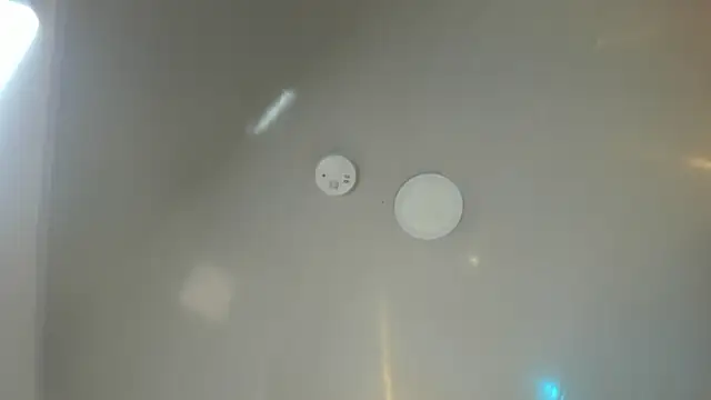 Nexuus_ webcam