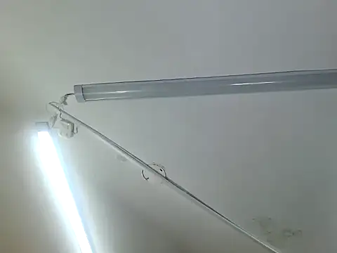 vanessa_bonesmith webcam