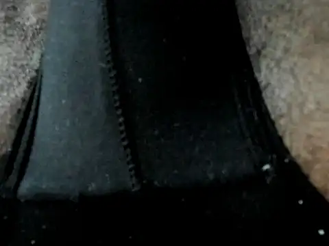 bigcock_latin1 webcam