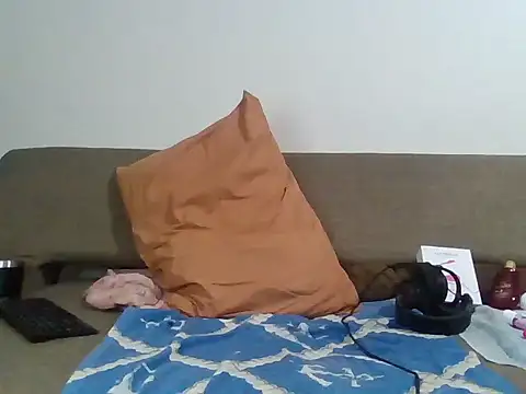 Mdbisc8 webcam