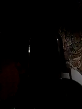 RODRI_POLLADURA webcam