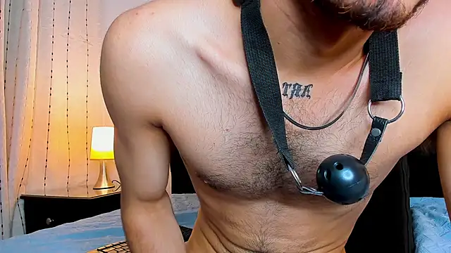 AlexanderFire1 webcam