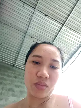 Dina_X2 webcam