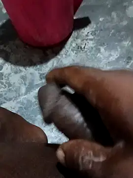 Sathibangla085x webcam