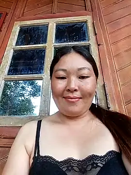 sbe54 webcam