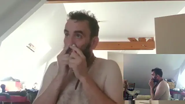Mastersanges webcam