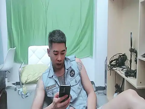 saigege webcam
