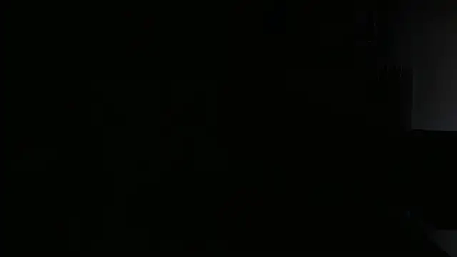 SheepyBoyx webcam