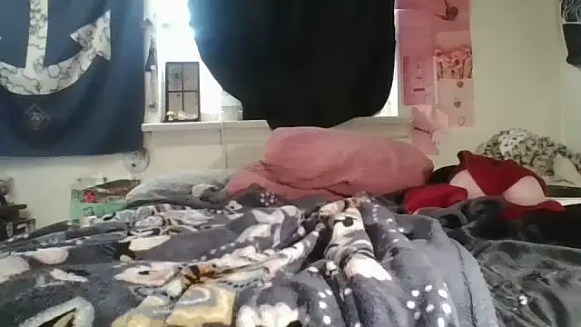 ATwinkie webcam