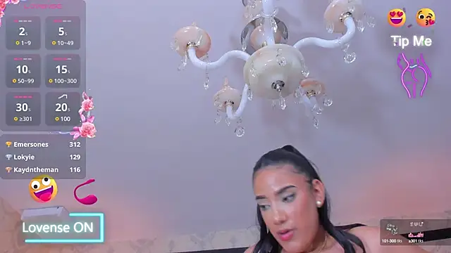 hallemercy webcam