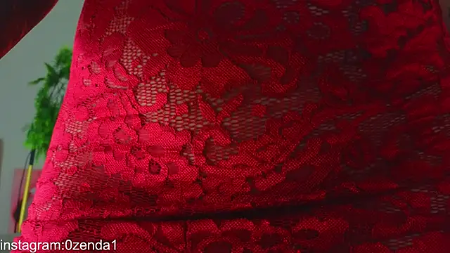 0zenda webcam
