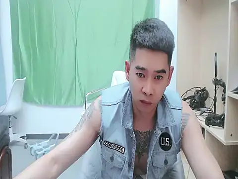 saigege webcam