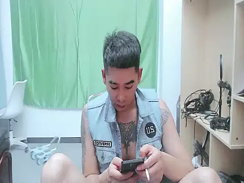 saigege webcam