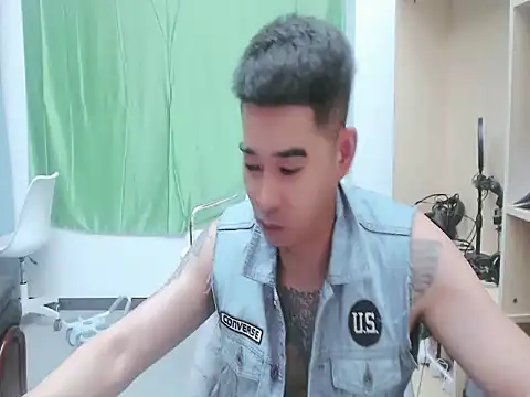 saigege webcam