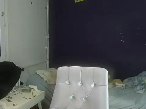 turkishTransEfsun webcam