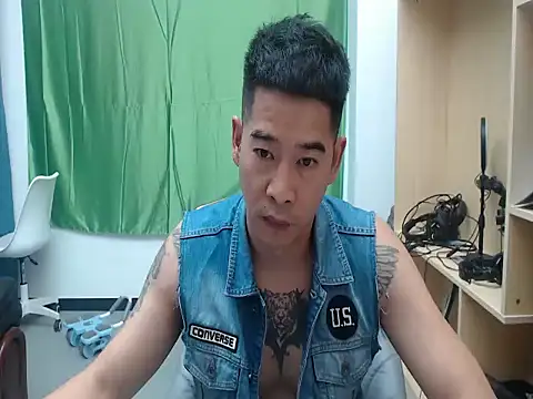 saigege webcam