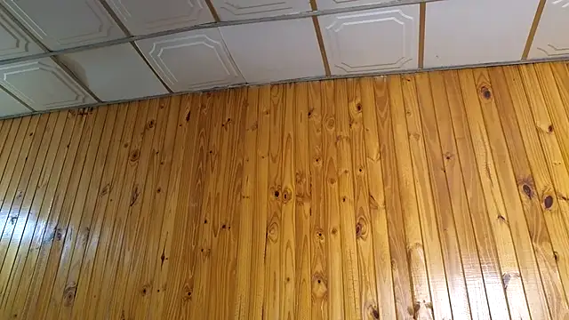Jony_Marta webcam