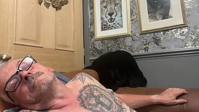 poggles webcam