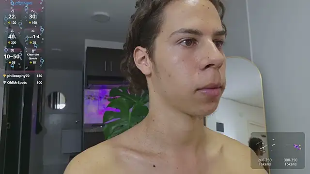 grey___27 webcam