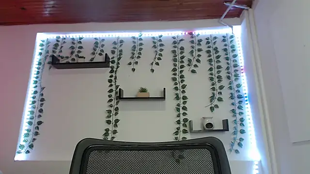 adara_fox2 webcam