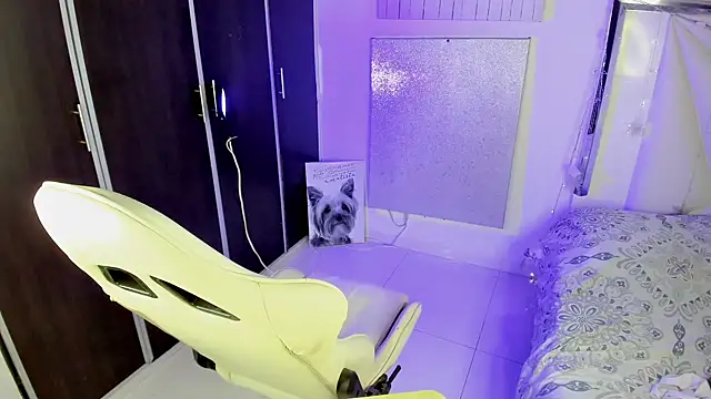 Stein_ webcam