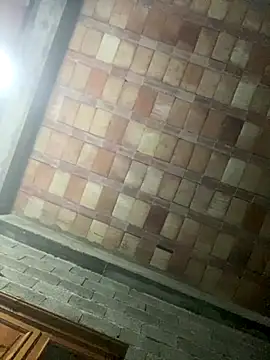 ros217 webcam
