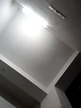 zeepe19 webcam